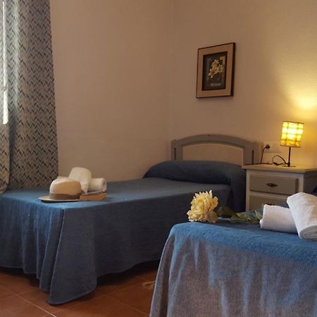 Chalet Las Adelfas Chaparrillo 科尼尔-德拉弗龙特拉 外观 照片